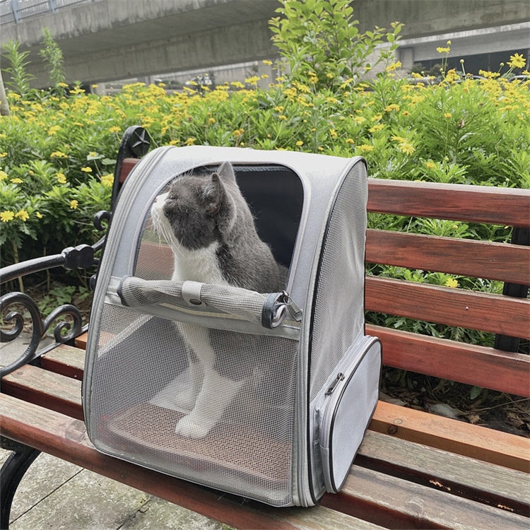 Breathable Panoramic Pet Carrier Backpack for Small Cats and Dogs