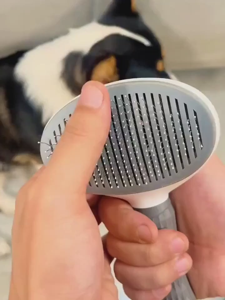 Cepillo Autolimpiante para Mascotas